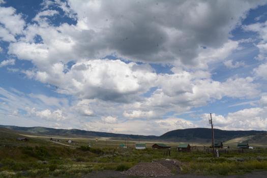 Need to up my game in the photo department