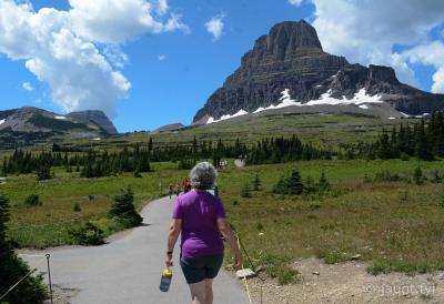 Logan Pass vicinity