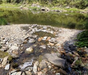 about 30m here enjoying cool water/shade