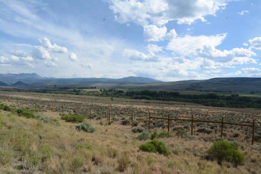 McCoy, CO vicinity