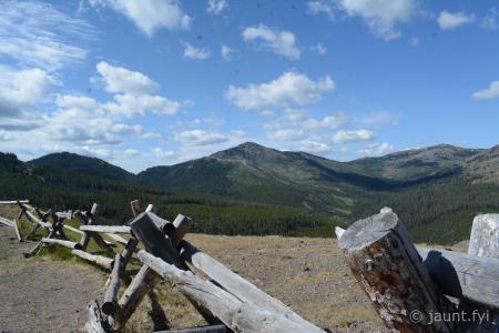 DSC_1600.jpg