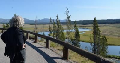 Hayden Valley