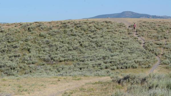 Hayden Valley