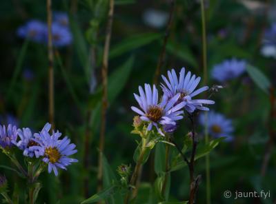DSC_1759.jpg