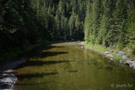 DSC_1823.jpg